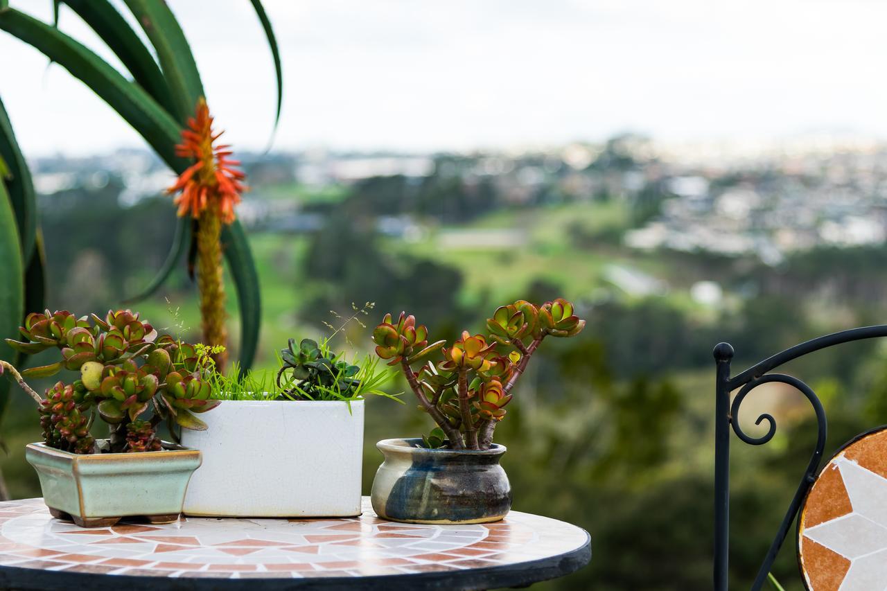 Sunrise View Auckland